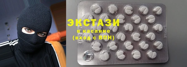 хмурый Алексин