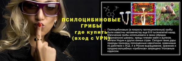 хмурый Алексин