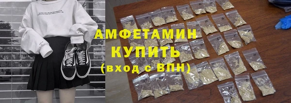 хмурый Алексин