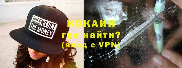 хмурый Алексин