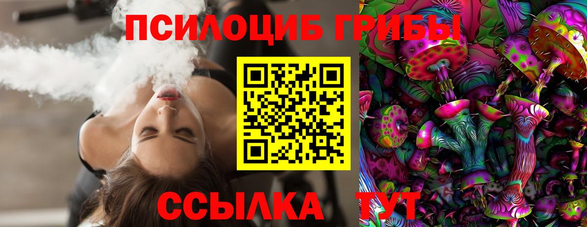 Галлюциногенные грибы прущие грибы  Вход с VPN  Кулебаки 