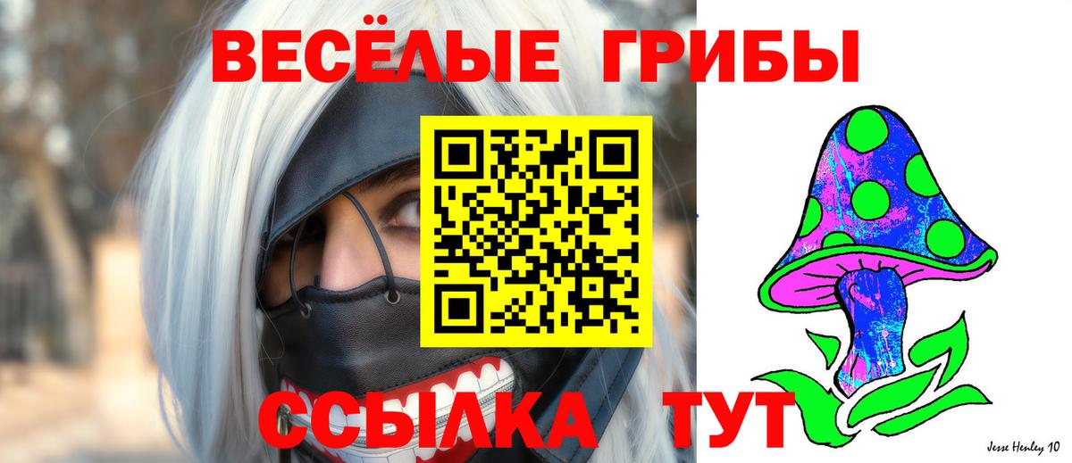 Псилоцибиновые грибы Psilocybine cubensis Кулебаки